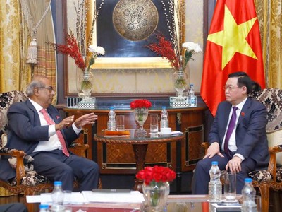 Chủ tịch Quốc hội Vương Đình Huệ tiếp tỉ phú Prakash Hinduja, Tập đoàn Hinduja (Ảnh DT)