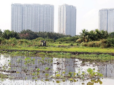 Nguồn cung nhà ở tại TP.HCM sẽ cải thiện đáng kể khi đất nông nghiệp được chuyển đổi thành đất dự án. Ảnh: Trọng Tín