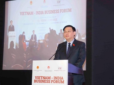 Chủ tịch Quốc hội Vương Đình Huệ phát biểu tại diễn đàn (Ảnh: DT) .