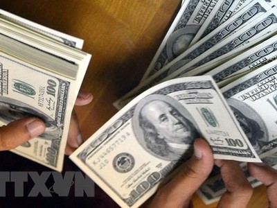 Đồng 100 USD. (Ảnh: AFP/TTXVN)