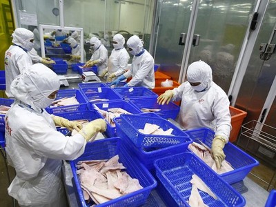 Chuỗi cung ứng thủy sản cũng đã bắt đầu được khôi phục.