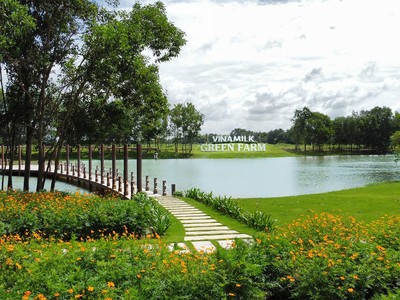 Hệ thống Trang trại sinh thái Vinamilk Green Farm tại Tây Ninh, Thanh Hóa, Quảng Ngãi