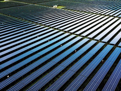 Phục hồi bền vững với tài chính xanh