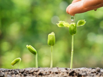 Tổng kết Giải thưởng Báo cáo Phát triển bền vững 2022