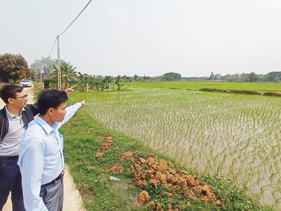 “Mê lực” đất nền