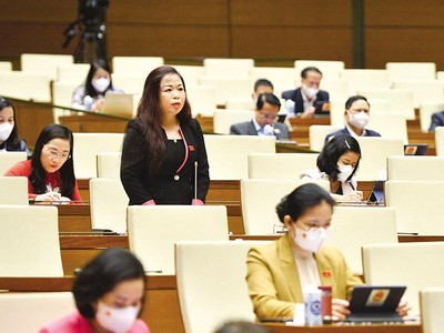 Đại biểu Vũ Thị Lưu Mai, Phó chủ nhiệm Ủy ban Tài chính - Ngân sách của Quốc hội.