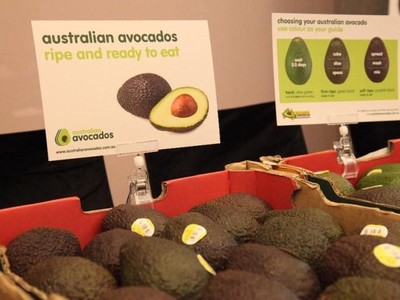 Bơ đông lạnh của Việt Nam được xuất khẩu đi Australia, có giá bán 120.000 đồng/kg