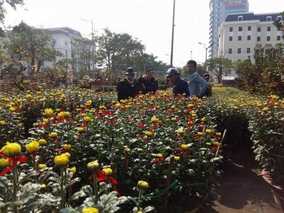 Chợ hoa Tết Nhâm Dần năm 2022 tổ chức khu vực Quảng trường 2/9, từ ngày 22/1 - 21h ngày 31/1 (tức từ ngày 20 đến hết ngày 29 tháng Chạp).