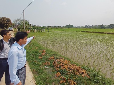 Đất nền đang hút mạnh dòng tiền mới 