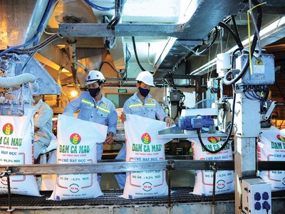 DCM ước đạt lợi nhuận sau thuế 1.823 tỷ đồng, mức cao nhất trong 10 năm hoạt động 