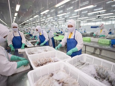 Sao Ta báo lãi ròng tăng gần 27%, có hơn 700 tỷ đồng tiền gửi ngân hàng