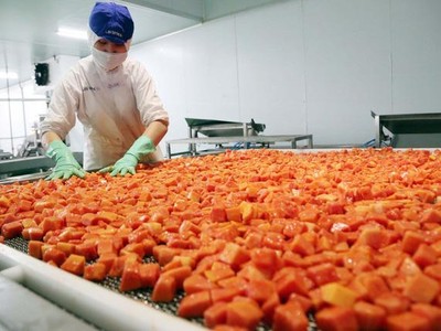 Thương mại hai chiều Việt Nam - Trung Quốc đạt xấp xỉ 166 tỷ USD vào cuối năm 2021, tăng 25% so với năm 2020