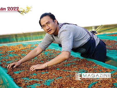 Vẽ bản đồ vùng nguyên liệu cà phê Việt