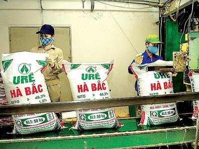 Thế khó của Đạm Hà Bắc khi bán cổ phiếu HPH