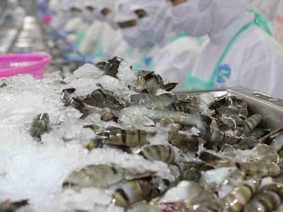 Sao Ta, Vĩnh Hoàn tăng trưởng lạc quan, ngành thủy sản "sáng cửa" năm 2022