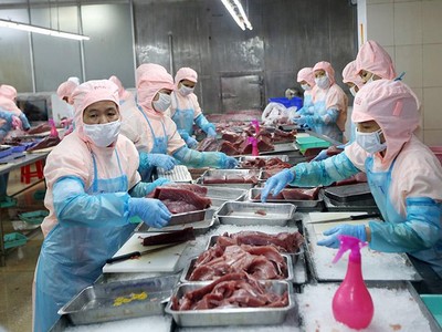 Lúc này, doanh nghiệp đang phục hồi, rất cần môi trường kinh doanh thuận lợi hơn, an toàn hơn, giảm thiểu mọi chi phí. Ảnh: Đức Thanh