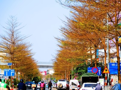 Một thoáng châu Âu giữa lòng Hà Nội