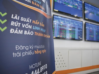 Cơ quan quản lý nhà nước nên tăng cường giám sát, đảm bảo trái phiếu phát hành riêng lẻ chỉ được bán cho các nhà đầu tư chuyên nghiệp. 