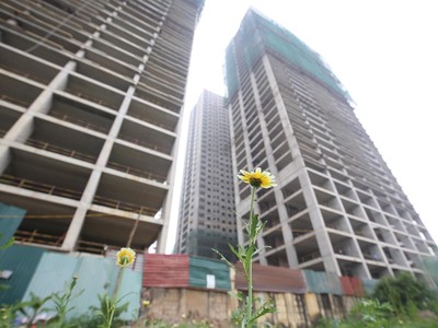 Tình trạng chủ đầu tư bàn giao nhà chậm trễ diễn ra khá phổ biến. Ảnh: Dũng Minh 