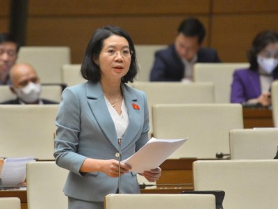 Đại biểu Mai Thị Phương Hoa (Nam Định). 