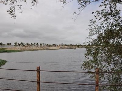 Dự án nạo vét sông Cổ Cò đang chậm tiến độ.