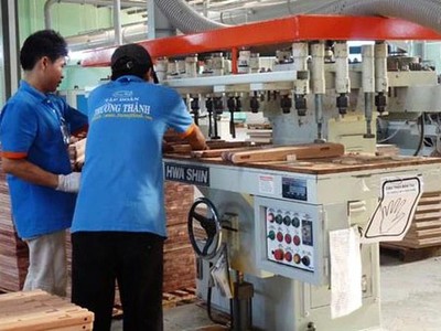 Kiểm toán nghi ngờ khả năng hoạt động liên tục của Gỗ Trường Thành (TTF)