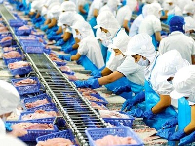 Vĩnh Hoàn lên kế hoạch lãi lớn, dự chi hơn 1.500 tỷ đồng làm ngân sách đầu tư