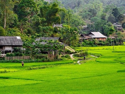 Vân Hồ là địa điểm du lịch được du khách yêu thích.