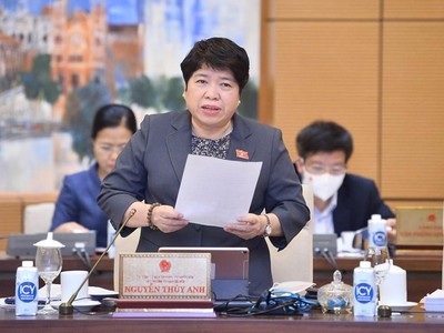 Chủ nhiệm Ủy ban Xã hội của Quốc hội Nguyễn Thuý Anh.