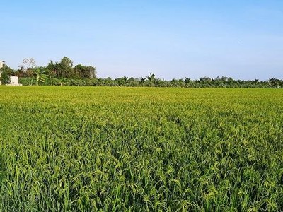 Bạc Liêu được chuyển mục đích sử dụng đất để thực hiện 2 dự án khu đô thị