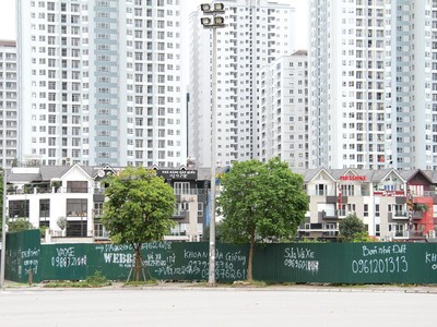 Nhiều doanh nghiệp phải "bán lúa non" để tìm kiếm dòng vốn ngắn hạn. Ảnh: Thành Nguyễn