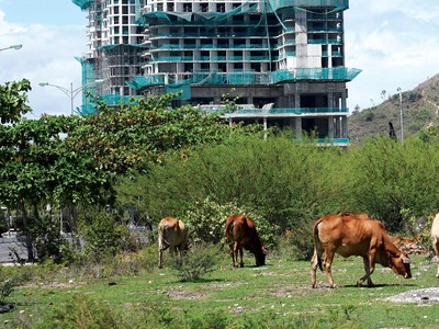 Thị trường địa ốc ngóng chính sách mới