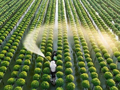 Nguồn vốn tín dụng phủ khắp các lĩnh vực ưu tiên