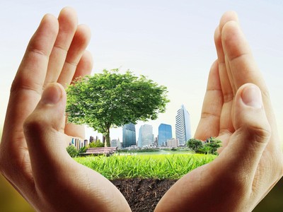 “Chăm sóc” một cái cây đã trải qua nhiều "giông gió" là việc không hề dễ dàng