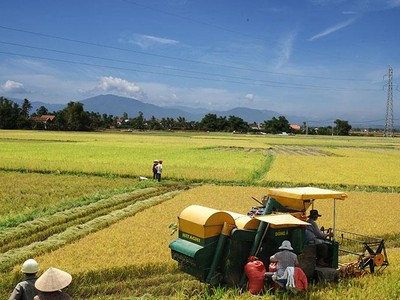Khu vực kinh tế tập thể nói chung, HTX nói riêng chưa phát triển đúng tiềm năng, kỳ vọng