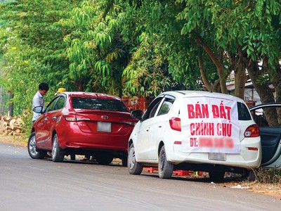 Quảng cáo bán đất được treo ở khắp nơi. Ảnh: Trọng Tín