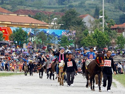 Vòng đấu loại diễn ra vào lúc 8h30 sáng ngày 5/6. Vợ các nài ngựa cưỡi trên lưng các chú ngựa tham gia diễu hành