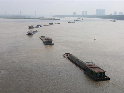 Các phương tiện thủy nội địa lưu thông trên sông Hồng đoạn qua TP. Hà Nội