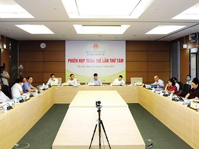 Phiên họp toàn thể thứ tám của Ủy ban Kinh tế của Quốc hội thẩm tra chủ trương chuyển mục đích sử dụng rừng, đất rừng và đất trồng lúa từ hai vụ trở lên của Dự án Xây dựng công trình đường bộ cao tốc Bắc - Nam phía Đông giai đoạn 2021 - 2025