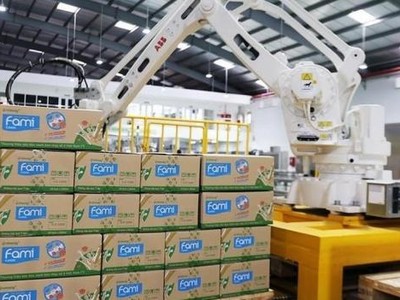 Giá đường thế giới lao dốc, Đường Quảng Ngãi (QNS) báo cáo lợi nhuận quý II/2022 tăng nhẹ 1,3%