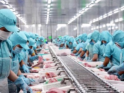 Xuất khẩu thủy sản tháng 7 xuống dưới ngưỡng 1 tỷ USD
