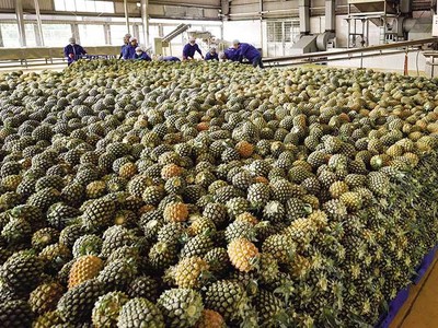 Dấu ấn với doanh nghiệp xuất khẩu sang EU