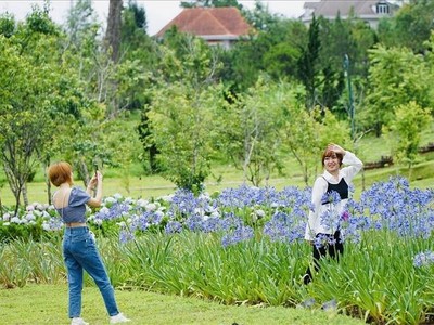 Chủ đề của Festival hoa lần này là "Đà Lạt - Thành phố bốn mùa hoa". Ảnh: Mai Nhiên