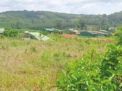 Sau khi được giao đất quản lý, Công ty cổ phần Xuất nhập khẩu Đại Gia Thuận chỉ xây dựng một… bốt gác bảo vệ, rồi “tàng hình”. Ảnh: P.T