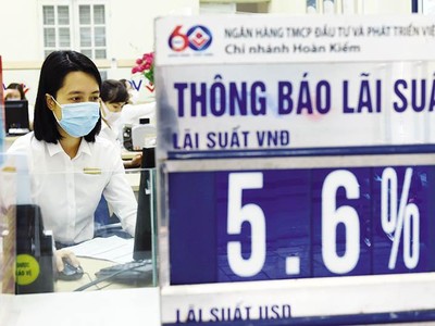 Lãi suất ngân hàng tăng mạnh thời gian qua để ghìm tỷ giá, ổn định vĩ mô. Ảnh: Đức Thanh