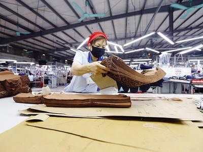 Các dự án FDI đã khiến năng lực sản xuất và quy mô xuất khẩu của ngành dệt may tăng nhanh