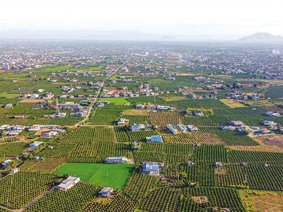 Tỉnh Bình Thuận đang tập trung phát triển ngành nông nghiệp hiện đại, bền vững, có giá trị gia tăng cao