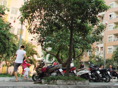 Căn hộ chung cư đã qua sử dụng đang được săn đón. Ảnh: Việt Dũng 