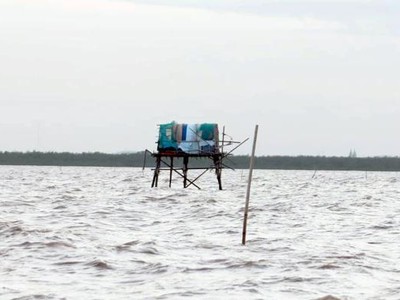 Bãi ngao tự phát của người dân ở vùng biển thuộc quận Hải An. Ảnh: LT