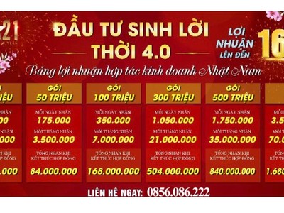 Bảng lợi nhuận hấp dẫn của bất động sản Nhật Nam khiến nhiều nhà đầu tư lóa mắt.